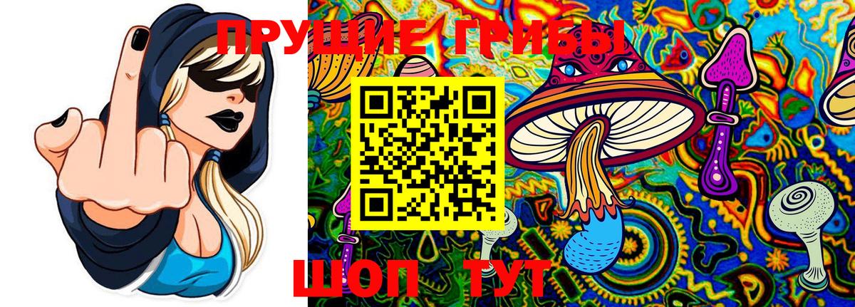 Чита  хочу   Вход с VPN  Галлюциногенные грибы прущие грибы  Галлюциногенные грибы мицелий 