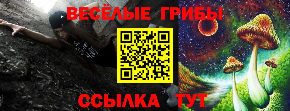 Псилоцибиновые грибы Psilocybine cubensis Чита